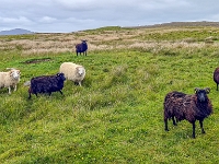 Isle of South Uist